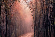 [图]NBA：杜兰特21分东契奇33+11 太阳96-107.：开云官网