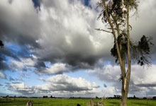 队内人士：曾经的马莱莱回来了，若他全能就不止现在的身价了.