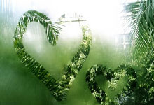 记者:劳塔罗离开阿根廷训练营,可能缺战乌迪内斯和AC米兰.:开云官网