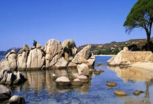 [图]足总杯-哈兰德破门+失点+伤退 曼城2-1伯恩茅斯.